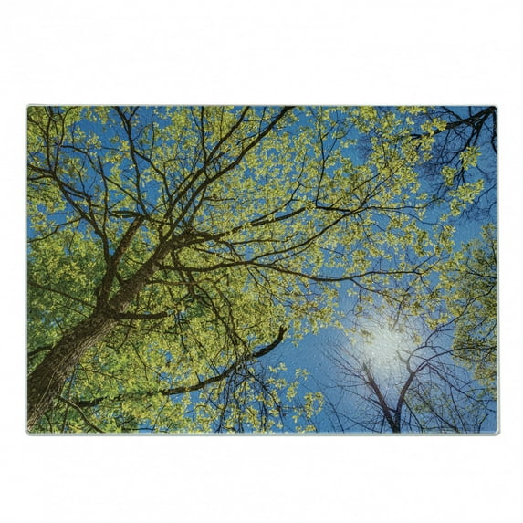 Forest Cutting Board, Tree Branches Pastoral Lumber Wide Flourishing Natural Beauty Eco Backed Image Art, Decorative Tempered Glass Cutting and Serving Board, Small Size, Green Blue, by Ambesonne