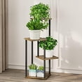 thumbnail image 2 of Plant Stand 4 Tier Indoor Metal Flower Shelf for Multiple Plants Corner Tall Flower Holders for Patio Garden Living Room Balcony Bedroom, Black (4 Tier-Black), 2 of 6