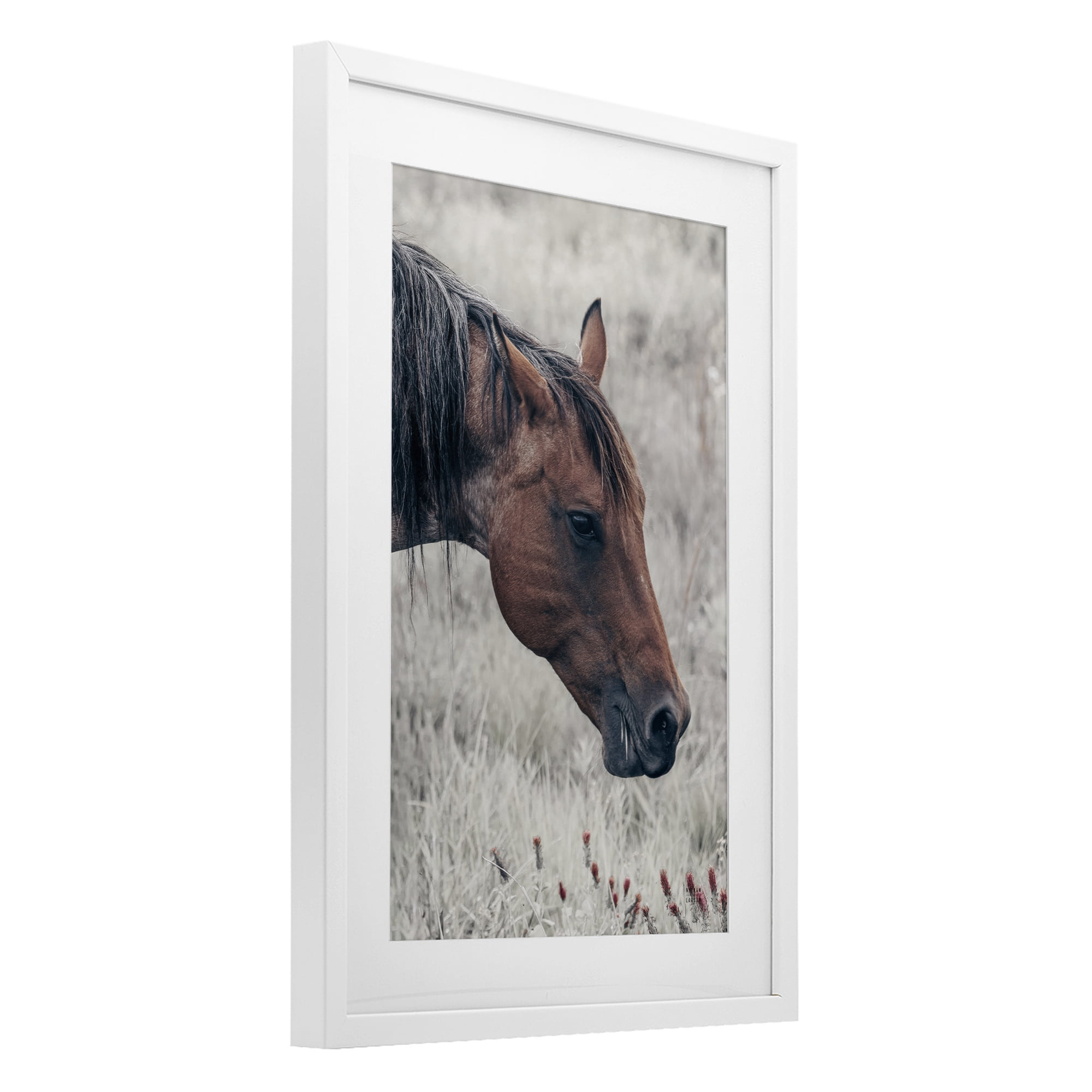 Stupell Industries Mother Horse Grazing in Meadow White Framed Print Under Glass, design by Nathan Larson