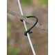 thumbnail image 4 of Vine And Garden Plant Clips 200 Pack, 4 of 5