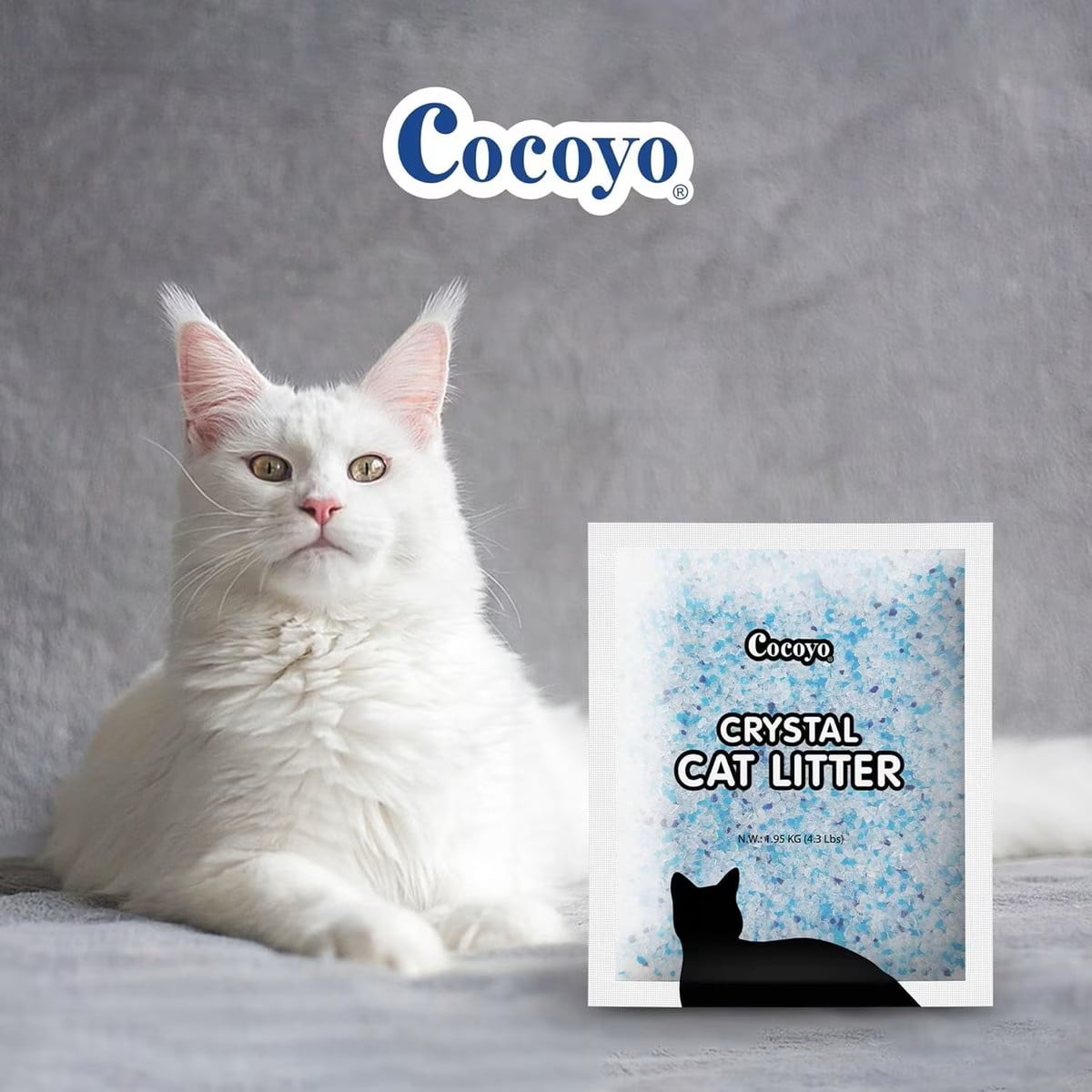 COCOYO Crystal Cat Litter I Silica Gel Cat Litter,17.2 Lbs Value Pack