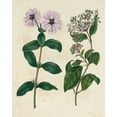 thumbnail image 2 of Edwards, Sydenham 20x24 Gold Ornate Wood Framed with Double Matting Museum Art Print Titled - Garden Pairings VIII, 2 of 4
