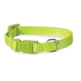 thumbnail image 1 of 6-10 in. Nylon Dog Collar, Light Green, 1 of 1