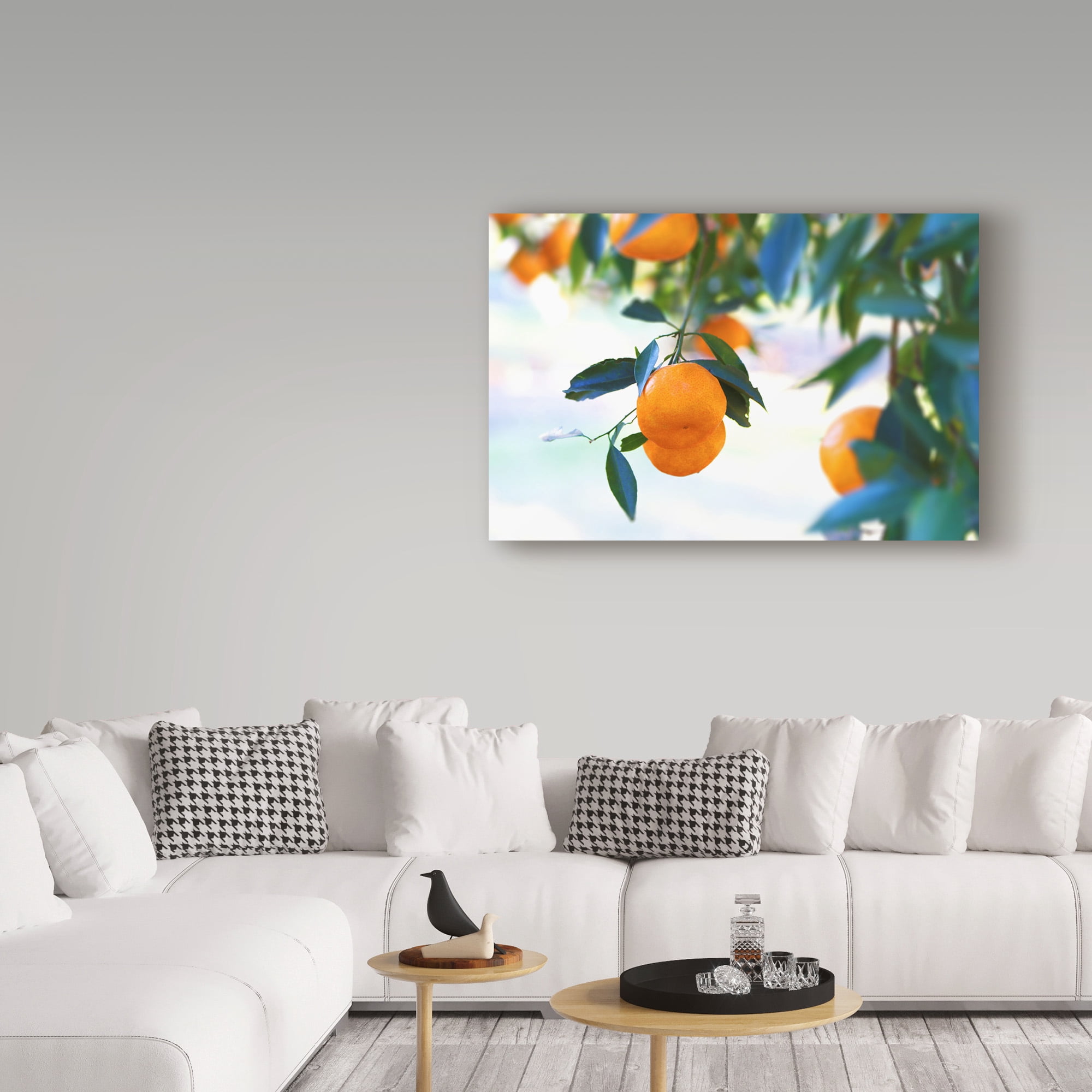 Trademark Fine Art 'Oranges Hanging' Canvas Art by Incredi