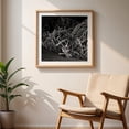 thumbnail image 6 of Tangled - Guanacaste Province Costa Rica Photography Industrial Abstract Black and White Nautical Rustic Pattern Moody Unframed Wall Art Print 6 x 6 inches, 6 of 9