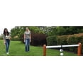 thumbnail image 3 of Ladder Golf® Single Ladder Ball Game, 3 of 6