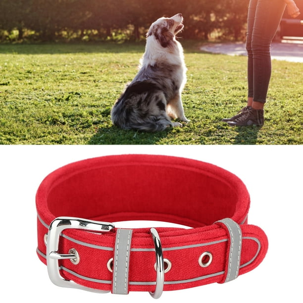 Quality leather dog collars 2025