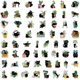 thumbnail image 3 of 100PCS Balck Cat Stickers,Cat Decals, Plant Aesthetic Decals Vinyl Waterproof for Water Bottles Laptop Skateboard Computer Phone,Cat Stickers, 3 of 4