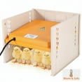 thumbnail image 2 of Eurhowing 10"x10" Chick Brooder Heater Plate, Adjustable Height & Angle Chicken Coop Heater, Energy Efficient Heating for Chicks, Ducks, Poult, 2 of 7