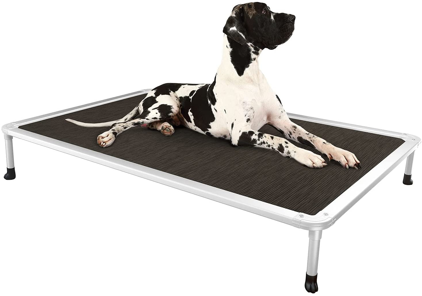 k9 raised dog bed