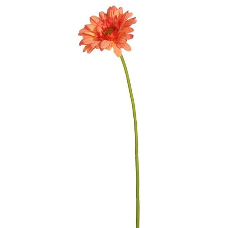 21 in. Gerbera Daisy Coral - Pack of 6 - Walmart.com