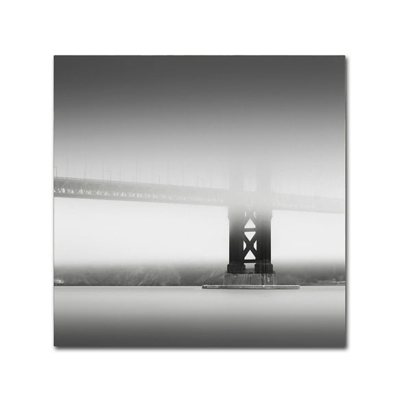 Trademark Fine Art Dave MacVicar 'Golden Gate' 14 x 14 (ALI0832-C1414GG)