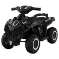 thumbnail image 1 of Cuatrimoto Electrico LEE MONDE Negro, 1 of 7