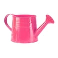 thumbnail image 2 of Metal Watering Can, 1 Gallon Capacity Galvanized Metal Watering Cans with Sprinkler Head, Vintage Sprinkling Can for Indoor Outdoor Plants, Flowers, Garden, Lawn, 2 of 3