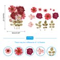 thumbnail image 2 of Fleurs Séchées Pressées DIY Résine Pressée pour Feuilles Sèches Réelles Multicolore, 2 of 6