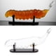thumbnail image 1 of Decanter Cordyceps Sinensis Forma de vino Presenta de vino Alcohol de borosilicato alto Hecho a mano para Holiday Bar Men Soledad Decantador de whisky, 1 of 10