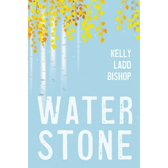 Water Stone, (Paperback)