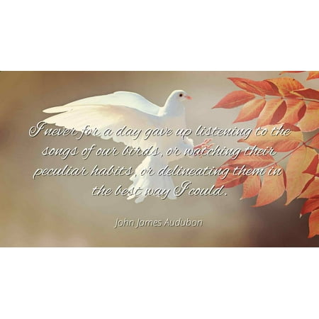 John James Audubon - Famous Quotes Laminated POSTER PRINT 24x20 - I never for a day gave up listening to the songs of our birds, or watching their peculiar habits, or delineating them in the best (Best Places For Bird Watching)