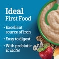thumbnail image 3 of GERBER Stage 2 Multigrain Oatmeal & Fruit Baby Cereal, 3 of 7