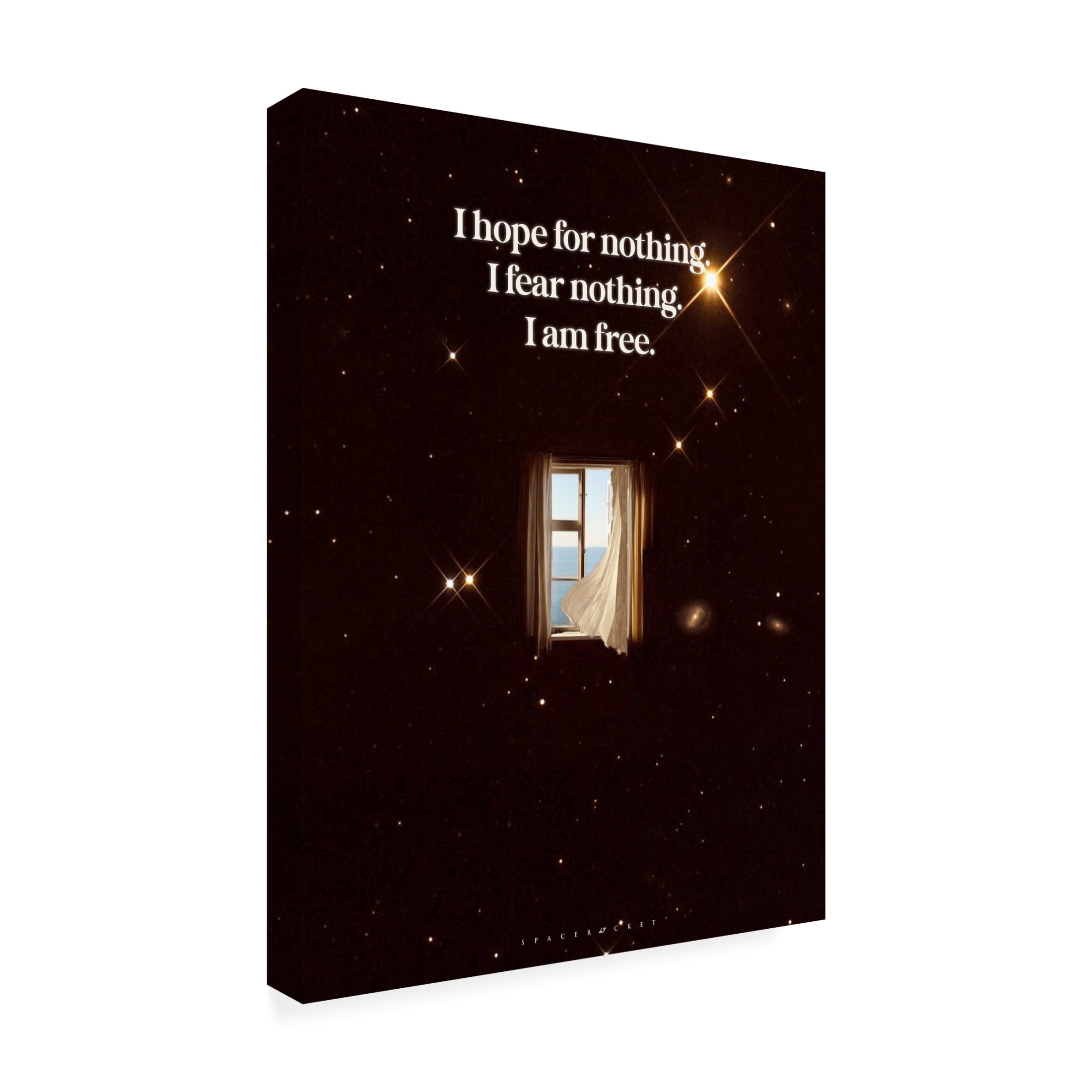 Trademark Fine Art spacerocket art  648 Canvas Wall Art