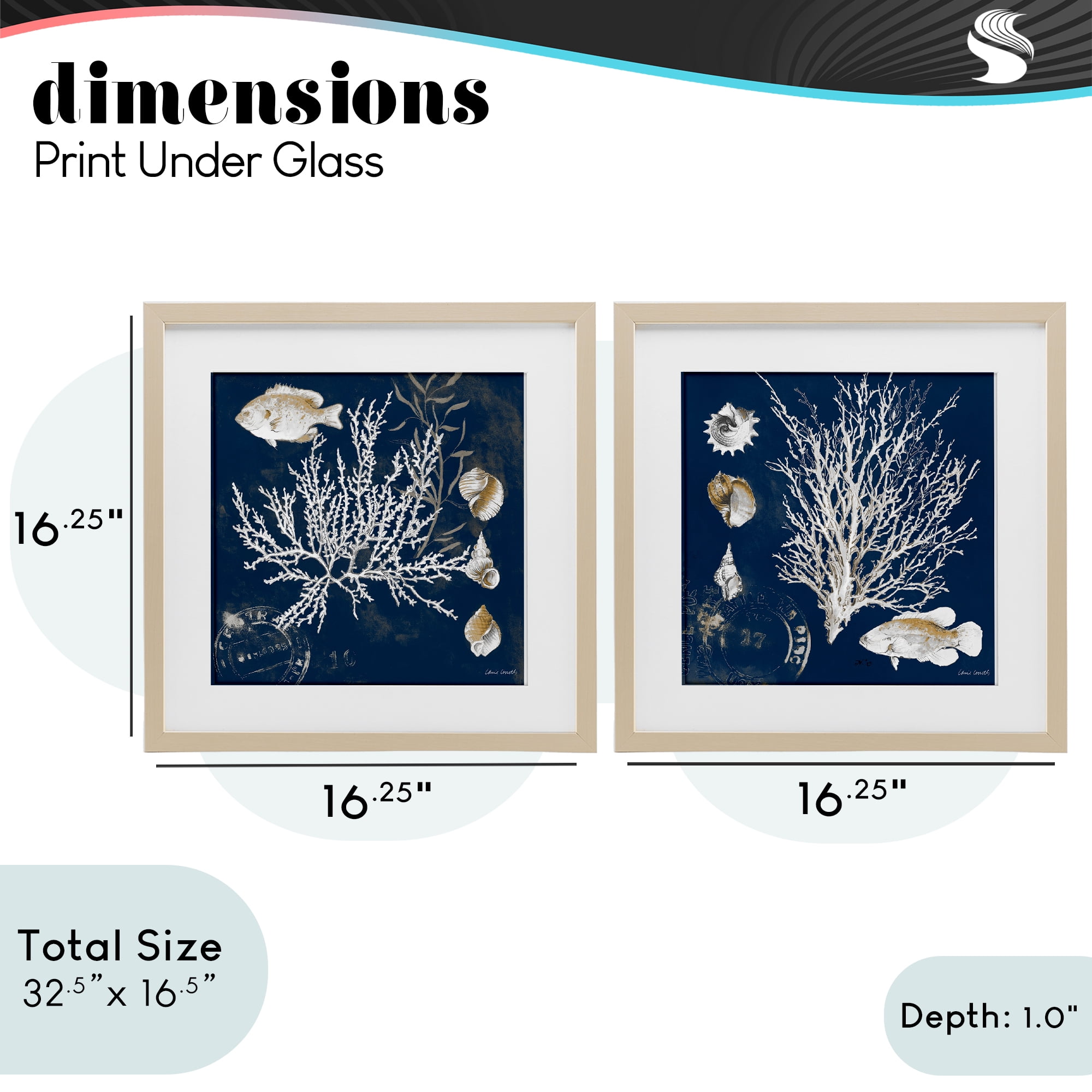 Stupell Industries Navy Coral Medley 2 Piece Birch Framed Print Under Glass Set, design by Lanie Loreth