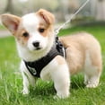 thumbnail image 3 of Dog Harness and Leash Set for Dogs, Soft Mesh Padded Harness for Puppies and Cats, Reflective Adjustable Breathable Chest Harness for Walking, Running, Training S Black, 3 of 8