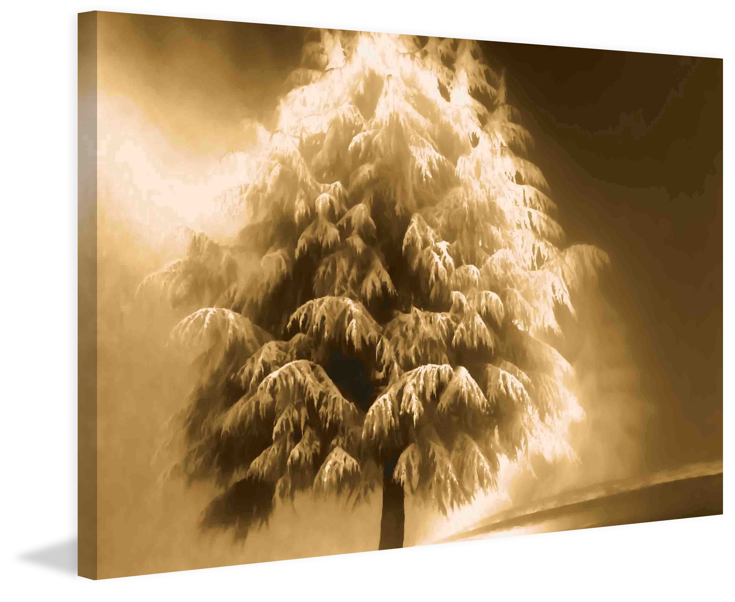 "Enlightened Tree" Painting Print on Wrapped Canvas