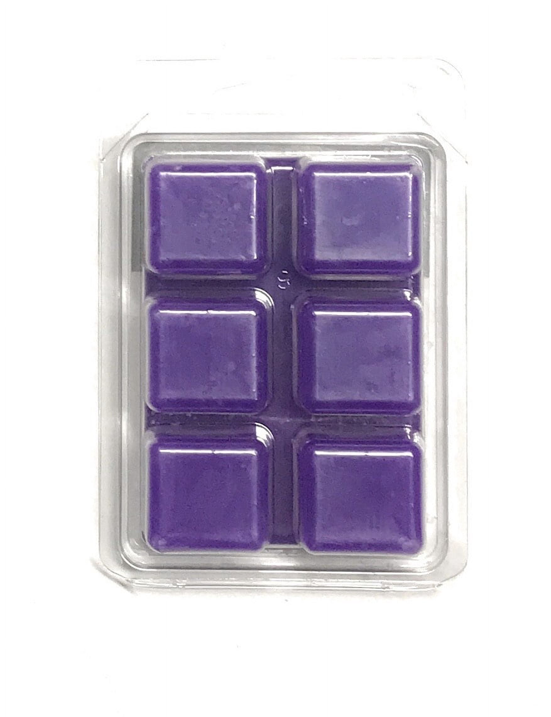 Wanderlust Scented Wax Melts, ScentSationals, 2.5 oz (1-Pack)