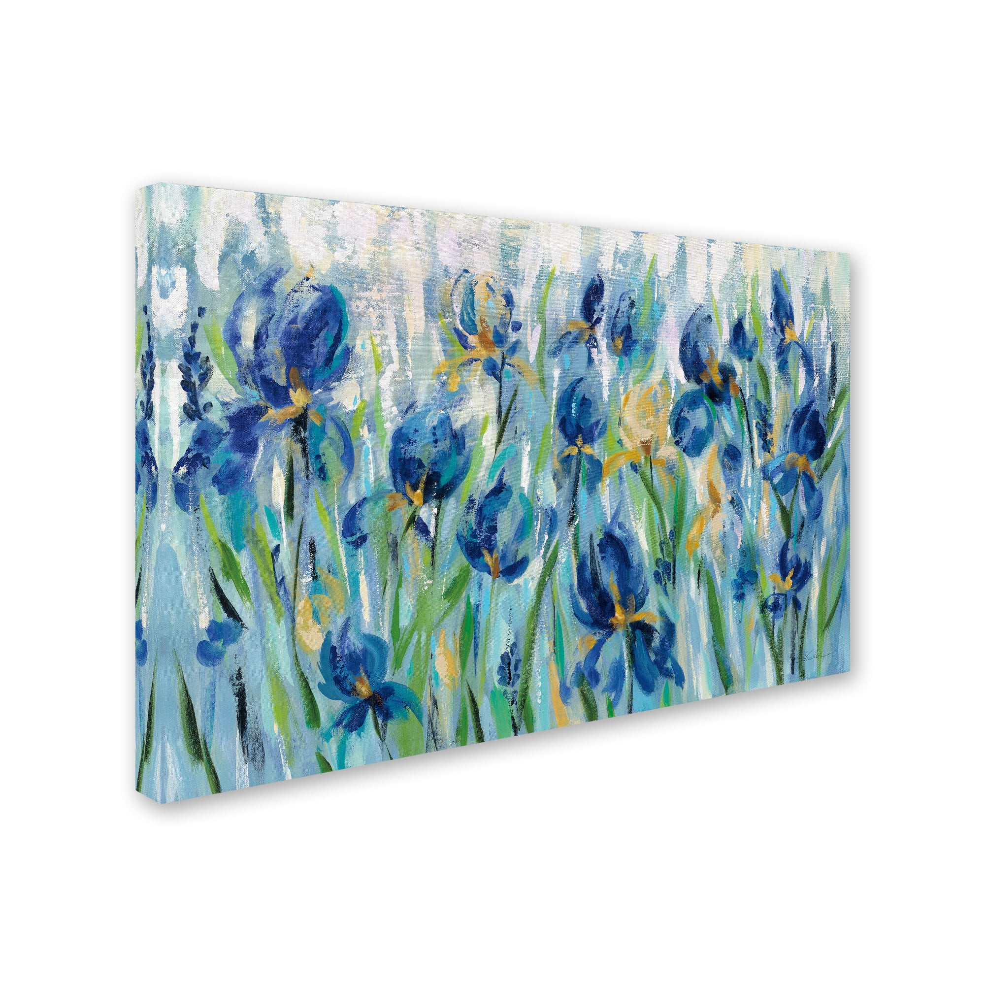 Trademark Fine Art 'Iris Flower Bed' Canvas Art by Silvia Vassileva