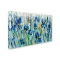 thumbnail image 2 of Trademark Fine Art 'Iris Flower Bed' Canvas Art by Silvia Vassileva, 2 of 3