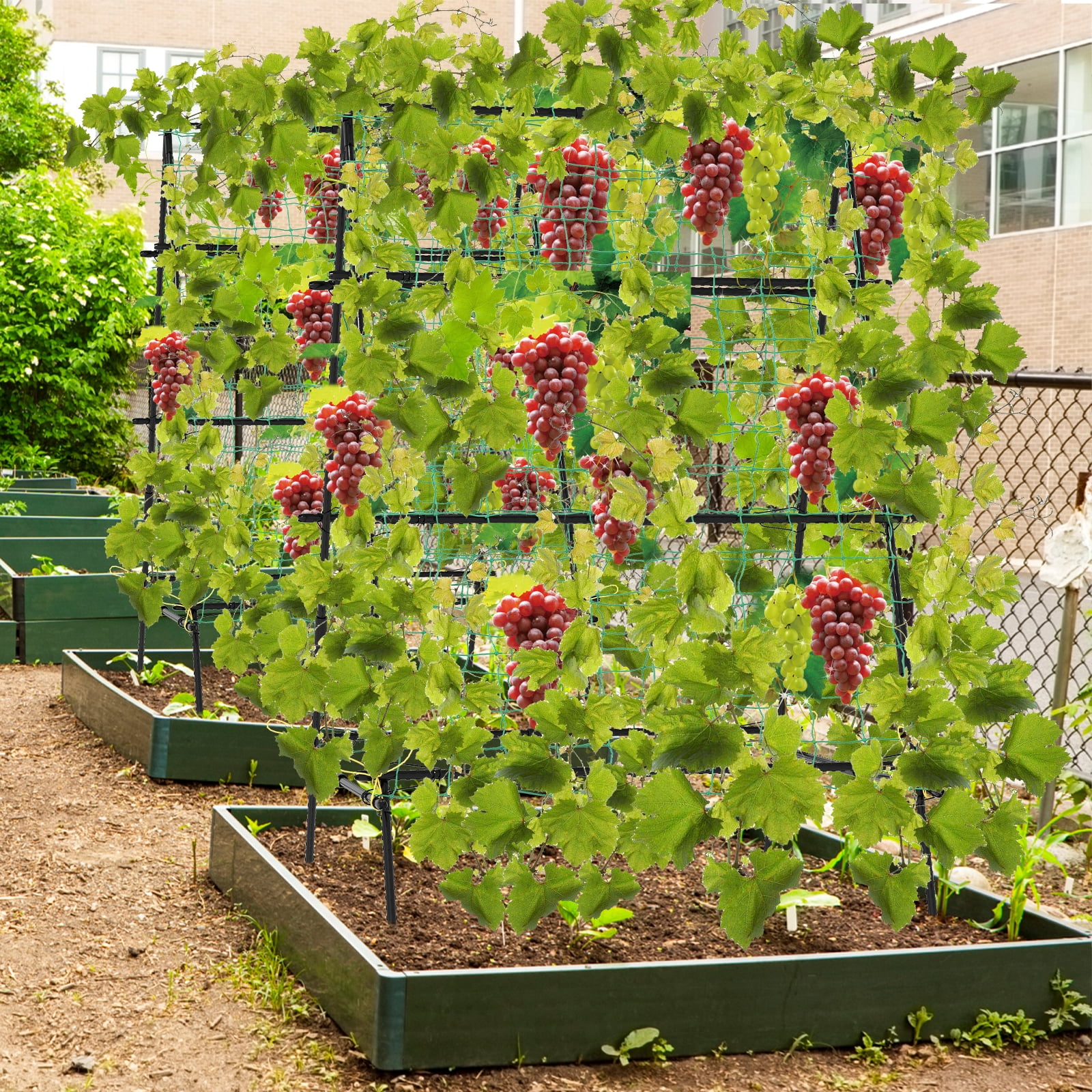 Patiojoy Cucumber Trellis for Plant Climbing Foldable Garden Tunnel Trellis w/ Plastic Coated Tube Trellis Net, Adjustable Auxiliary Clips