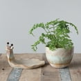 thumbnail image 6 of Creative Co-Op Decorative Stoneware Snail Planter with Reactive Glaze, Brown, 6 of 6