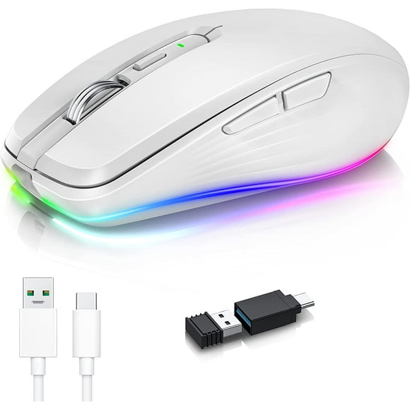 Rechargeable Wireless Mouse, 2.4G RGB 4 Adjustable DPI (maximum 3600) Silent Ergonomic Mouse with 6 Buttons