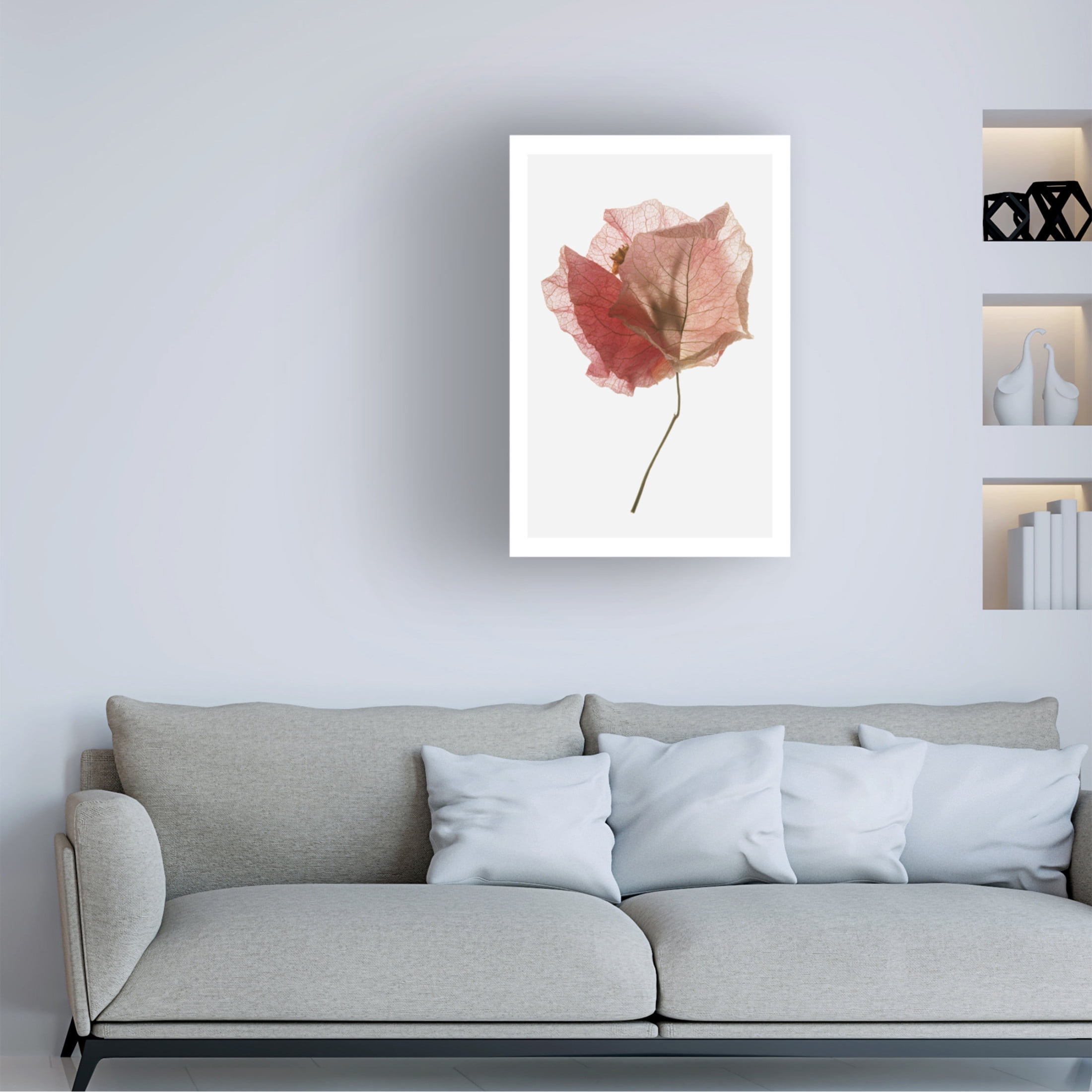Trademark Fine Art Shot by Clint Bougainvillea Study No2 Canvas Wall Art