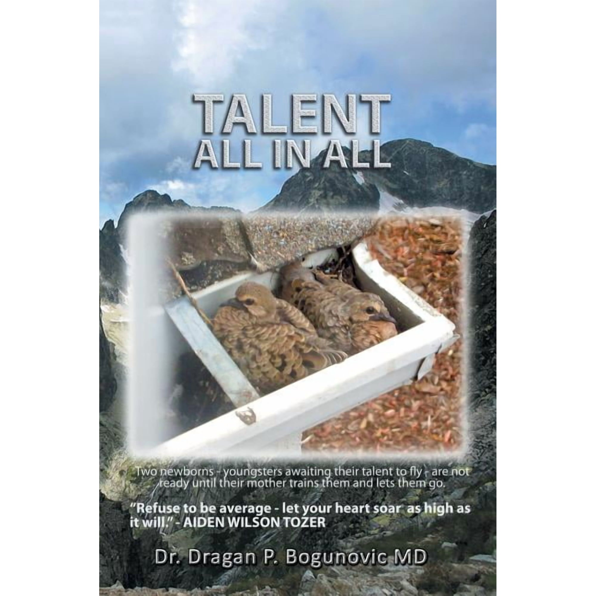 Talent All In All (Paperback)