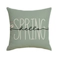 thumbnail image 4 of Spring Tupukom Easter Decorations Outdoors Border New Easter Pillow Set Printed Cushion Living Room Decoration Sofa Pillow Cushion, 4 of 5
