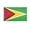 3x5 ft Polyester Flag, variant on AGAS Guyana Nautical Flag 12x18 inch Mini Guyanese National Flag Outdoor 200D Nylon Double Stitched Hem Rust Proof Brass Grommets Canvas Header Guyanese National Boat Flag