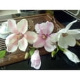 thumbnail image 2 of TABLETREANDS 5Ud Flor Artificial Magnolia De Tela Para Creativa En Casa Y Eventos, 2 of 8