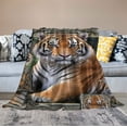 thumbnail image 2 of ONETECH Tiger Blanket Animal Throw Blankets Plush Cozy Flannel Ultra Soft Fuzzy Tiger Gifts for Girls Women Men Boy Adult Kids Adult, 2 of 6