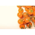 thumbnail image 2 of Tomato Garden Seeds - Sunsugar Hybrid - 100 Seeds - Non-GMO, Vegetable Gardening Seed - Sun Sugar, 2 of 2
