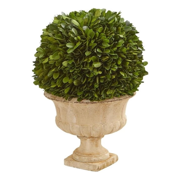 Nearly Natural 12in. Boxwood Topiary Ball Preserved Plant in Decorative Urn, Green