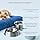thumbnail image 6 of PAWPOURRI Printed Blue Print Anti-Skid Stainless Steel Water and Food Feeding Bowl for Adult Dogs, Puppies, Cats |Stainless Steel | Anti-Skid | Easy to Clean Pet Feeder, 950ml, 6 of 9