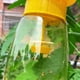thumbnail image 3 of Trampa para Moscas La Drosophila Con Orificio Jardín Y Patio Al Aire Libre, 3 of 4