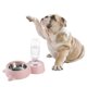 thumbnail image 2 of Pet Dual Water Food Feeder Feeding Bowl Drinking Bowl Pet Supplies for Cat Dog (Pink), 2 of 3