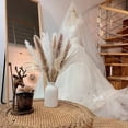thumbnail image 7 of GoXteam 80 Pcs Pampas Grass for Boho Home Room Decor, 17" Neutral Dried Pompas Flowers for Western Modern Bedroom Table Bathroom Wedding Baby Shower Décor, 7 of 7