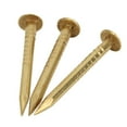 thumbnail image 1 of Wchiuoe Fastener, Sturdy Good Durability Round Head Nail, Easy Clean Can Be Used Alone For School Outdoor For Experiment, 1 of 8