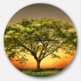 thumbnail image 1 of Designart 'Green Tree against Setting Sun ' Modern wall clock, 1 of 6