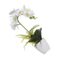 thumbnail image 2 of Monstrate Amplia aplicación de ABS y exquisitas flores artificiales no tóxicas hechas a mano con buena sensación de mano para decoración de Decoración  BF1912009 (341g) BF1912009 (341g), 2 of 6