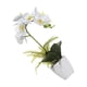 thumbnail image 1 of Bearachild ramo de flores artificiales duraderas aptas para mascotas decoración del hogar DIY BF1912009 341g, 1 of 6