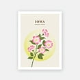 thumbnail image 2 of Iowa Print – Iowa State Flower Poster, Prairie Rose Illustration, Iowa Poster, Prairie Rose Print, Painting Art, Dining Room Wall Decor Ideas, Art Deco Frameless 20x30inch, 2 of 5